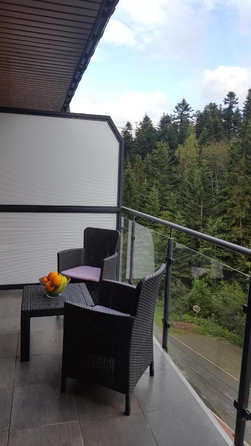 Apartmán Apartament Dwupoziomowy Z Klimatyzacja Krynica-Zdrój Exteriér fotografie