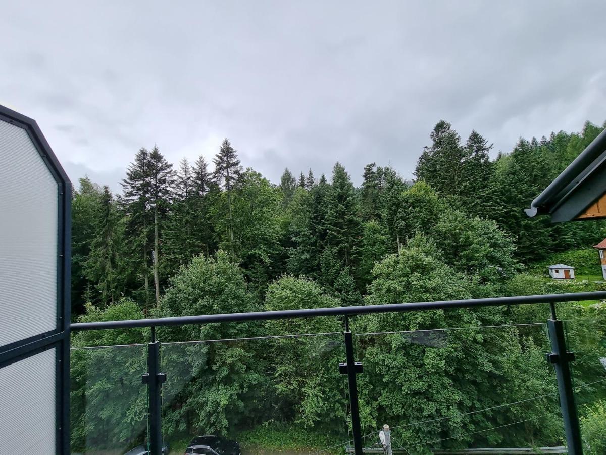 Apartmán Apartament Dwupoziomowy Z Klimatyzacja Krynica-Zdrój Exteriér fotografie